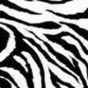 Meet your Posher, Kendall